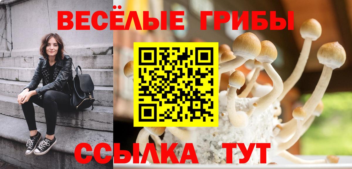 Галлюциногенные грибы мицелий  Вход с VPN  Семёнов  Псилоцибиновые грибы прущие грибы 