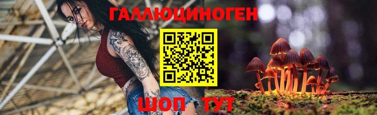 Псилоцибиновые грибы мицелий Семёнов